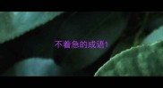 不着急的成语