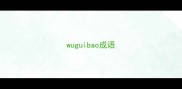 wuguibao成语
