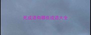 死成语有哪些成语大全