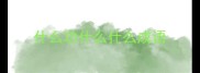 什么功什么什么成语