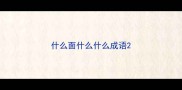 什么面什么什么成语