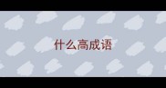 什么高成语
