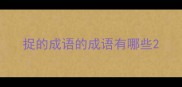 捉的成语的成语有哪些