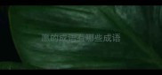 愿的成语有哪些成语