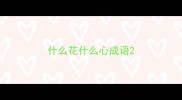 什么花什么心成语
