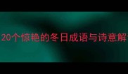 冬季诗词成语大赏20个惊艳的冬日成语与诗意解读附节气习俗冷知识