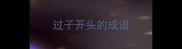 过子开头的成语