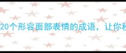 表情管理必备20个形容面部表情的成语让你秒变写作聊天高手