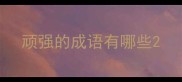 顽强的成语有哪些