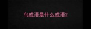 鸟成语是什么成语
