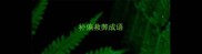 补偏救弊成语
