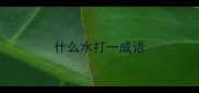 什么水打一成语
