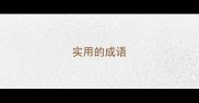 实用的成语