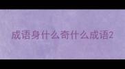 成语身什么奇什么成语