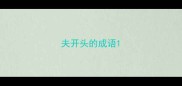 夫开头的成语