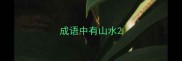 成语中有山水