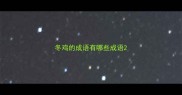 冬鸡的成语有哪些成语
