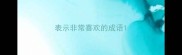 表示非常喜欢的成语