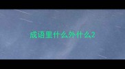 成语里什么外什么