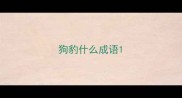 狗豹什么成语