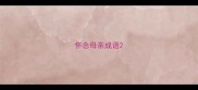 怀念母亲成语