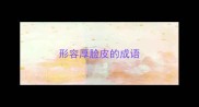 形容厚脸皮的成语