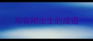 形容刚出生的成语