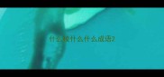 什么棱什么什么成语