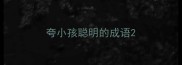 夸小孩聪明的成语