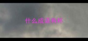 什么成语有杯