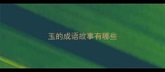 玉的成语故事有哪些