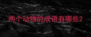 两个动物的成语有哪些