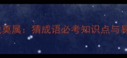 常用成语非我莫属猜成语必考知识点与易错点全攻略