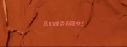 店的成语有哪些