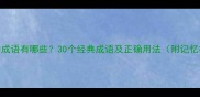 带反的成语有哪些30个经典成语及正确用法附记忆技巧