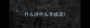 什么诗什么字成语