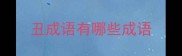 丑成语有哪些成语