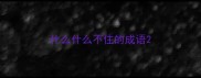 什么什么不住的成语