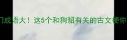 冷门成语大这5个和狗貂有关的古文梗你敢信