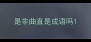 是非曲直是成语吗