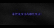 带软硬成语有哪些成语