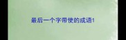 最后一个字带使的成语
