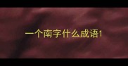 一个南字什么成语