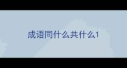 成语同什么共什么