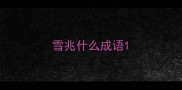 雪兆什么成语