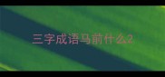 三字成语马前什么