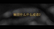触目什么什么成语