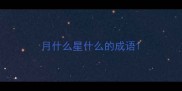 月什么星什么的成语