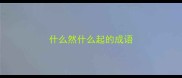 什么然什么起的成语