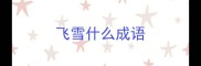 飞雪什么成语